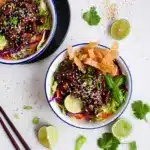 Teriyaki Chicken Wonton Taco Bowls Recipe