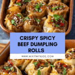 Spicy Beef Dumpling Rolls Recipe