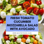 Tomato Cucumber Mozzarella Salad Recipe