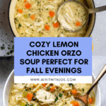 Lemon Chicken Orzo Soup Recipe