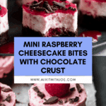 Bites with Chocolate Crust [55 Minutes] Recipe
