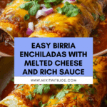 Birria Enchiladas Recipe